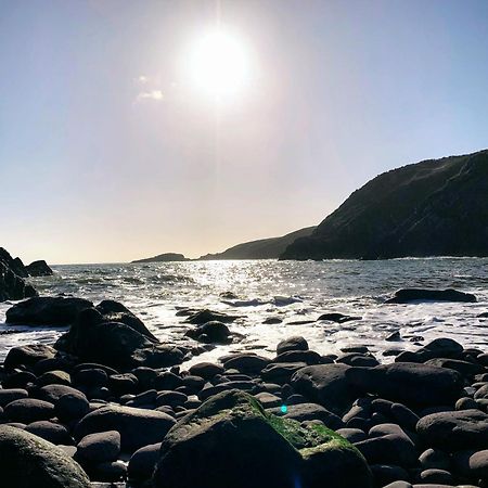 Ramsey House - Luxury Licensed B&B - Parking And Guest Lounge St Davids Eksteriør billede