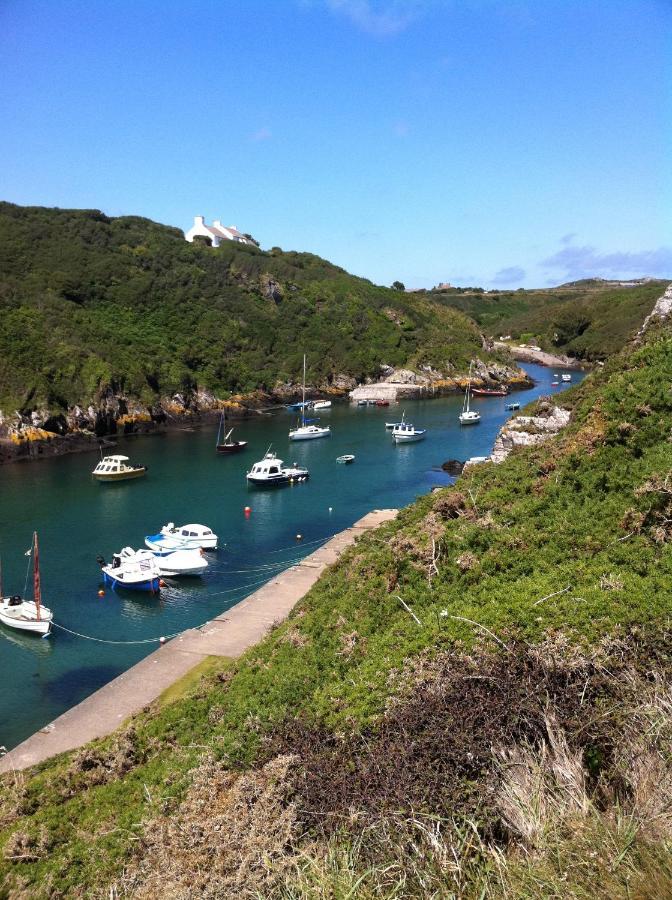 Ramsey House - Luxury Licensed B&B - Parking And Guest Lounge St Davids Eksteriør billede