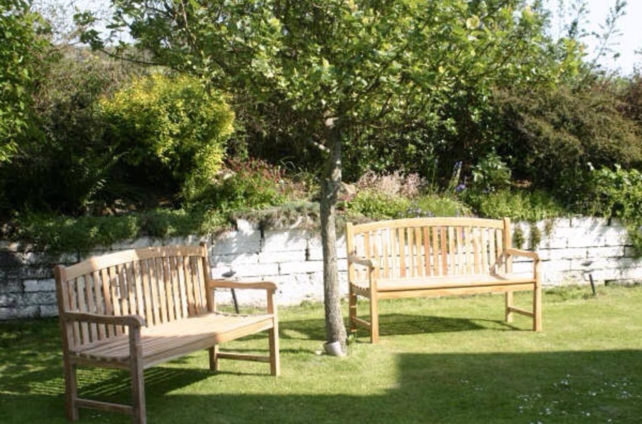 Ramsey House - Luxury Licensed B&B - Parking And Guest Lounge St Davids Eksteriør billede