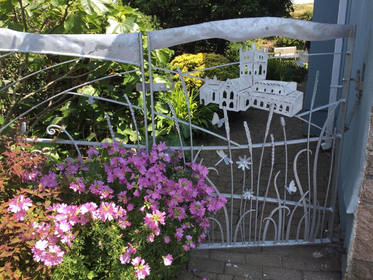 Ramsey House - Luxury Licensed B&B - Parking And Guest Lounge St Davids Eksteriør billede
