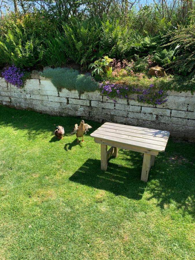 Ramsey House - Luxury Licensed B&B - Parking And Guest Lounge St Davids Eksteriør billede