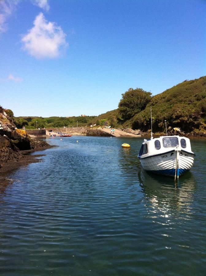 Ramsey House - Luxury Licensed B&B - Parking And Guest Lounge St Davids Eksteriør billede
