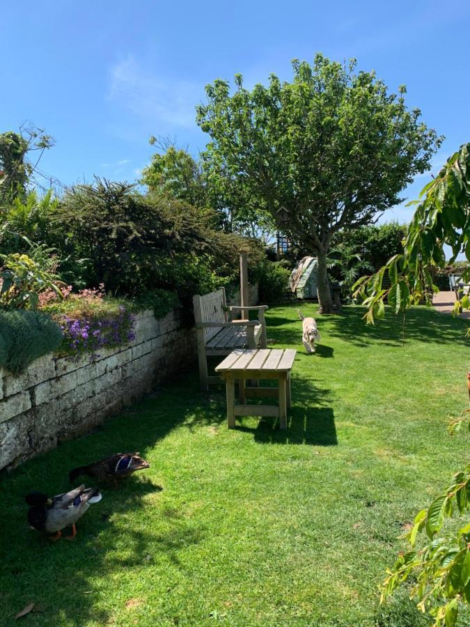 Ramsey House - Luxury Licensed B&B - Parking And Guest Lounge St Davids Eksteriør billede