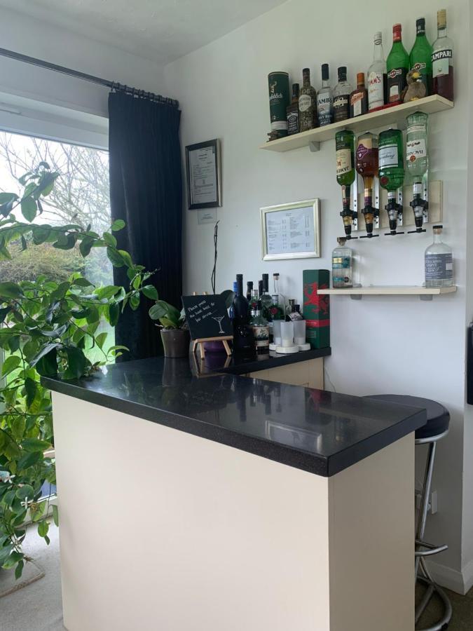 Ramsey House - Luxury Licensed B&B - Parking And Guest Lounge St Davids Eksteriør billede