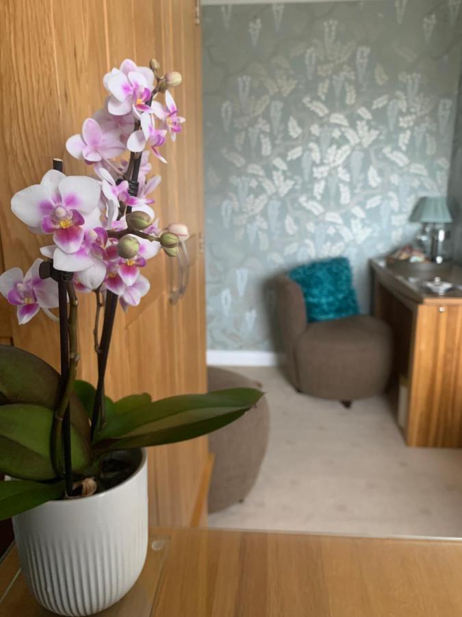 Ramsey House - Luxury Licensed B&B - Parking And Guest Lounge St Davids Eksteriør billede
