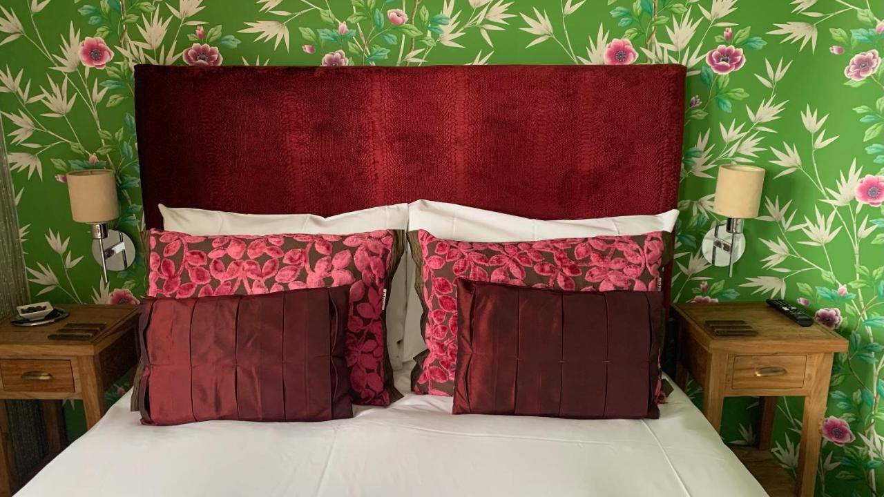 Ramsey House - Luxury Licensed B&B - Parking And Guest Lounge St Davids Eksteriør billede
